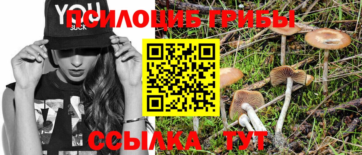 сколько стоит  Галлюциногенные грибы Cubensis  Вход с VPN  Псилоцибиновые грибы Psilocybine cubensis  Солнечногорск 